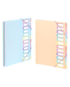 VIQUEL PVC Organiser sa 12 pregrada i gumicom Rainbow Pastel