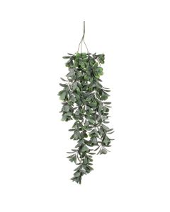 DEKOR DOM Cvet CRASSULA 79cm 1021018 - Green - EDL