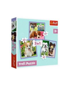 Puzzle 3u1 kuce