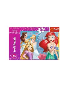 Puzzle 30 princes