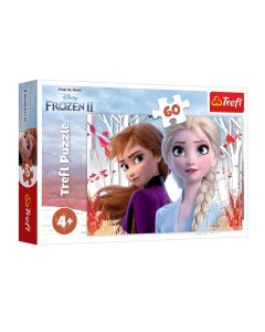 PUZZLE 60 frozen