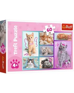 TREFL Puzzle mačke - 60 delova - 103119-T17373