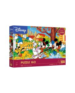 Puzzle 160 miki