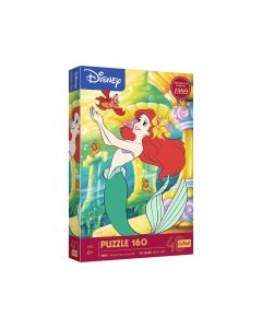 Puzzle 160 ariel