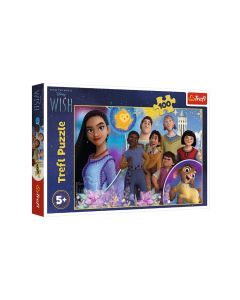PUZZLE 100 wish