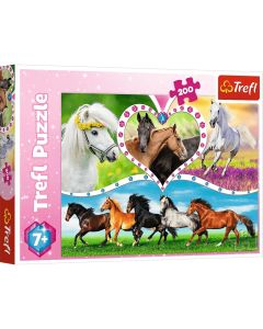 Puzzle 200 konji