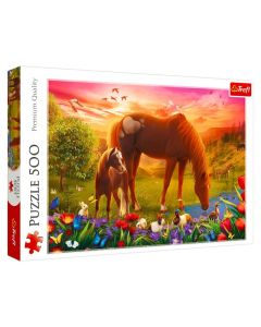 Puzzle 500 konji