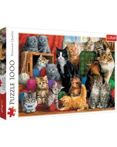 TREFL Puzzle Cat meeting 10555 - 1.000 delova