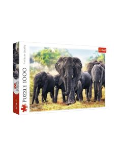 Puzzle 1000 afrički slonovi