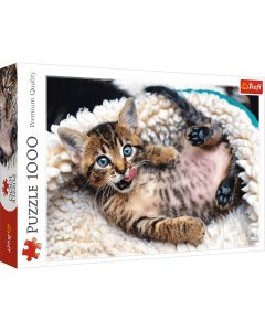 TREFL Puzzle Happy kitty 10448 - 1.000 delova