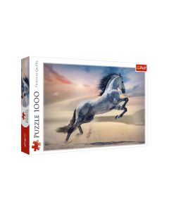 Puzzle 1000 konji