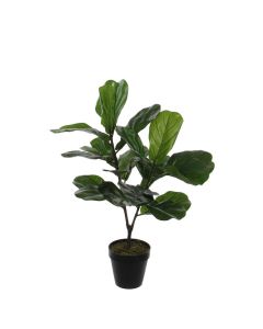 DEKOR DOM Cvet u saksiji FICUS LYRATA 75cm 1040426 - Green - EDL