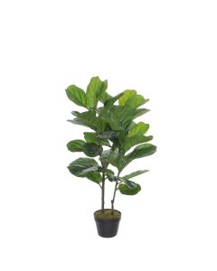 DEKOR DOM Cvet u saksiji FICUS LYRATA 100cm 1040427 - Green - EDL
