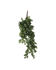 DEKOR DOM Cvet SYNGONIUM 54cm 1074947 - Green - EDL