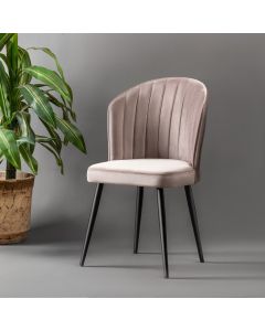 HANAH HOME Trpezarijske stolice Rubi 4/1, kapućino - 107BCK1102