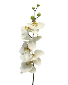 DEKOR DOM Cvet 78cm Orchid, krem - 040039-1