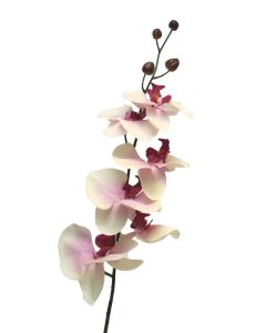 DEKOR DOM Cvet 78cm Orchid, krem/lila - 040040-1