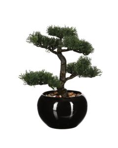 ATMOSPHERA Bonsai u skasiji 35x32x34cm, crna - 116179