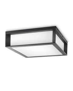 PHILIPS Spoljašnja zidna - plafonska svetiljka 2x42W 230V PH066, antracit