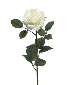 DEKOR DOM Cvet 64cm Rosa Dijon, bela - 040043