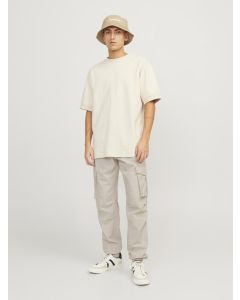 JACK & JONES Muške pantalone noah