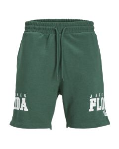 JACK & JONES Muški šorts cory