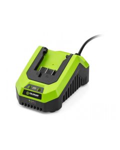 FIELDMANN Punjač 20V FDUZ 79100