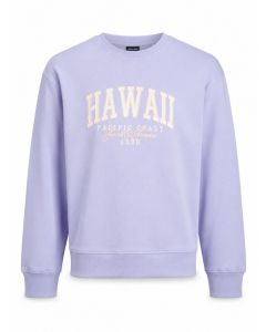 JACK & JONES Muška dukserica detroit
