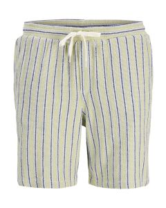 JACK & JONES Muški šorts jaiden