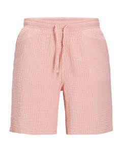 JACK & JONES Muški šorts aiden