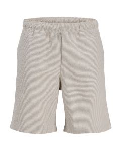 JACK & JONES Muški šorts haven