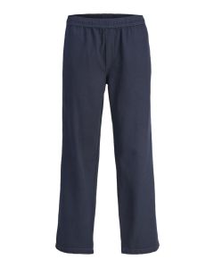JACK & JONES Muške pantalone karl
