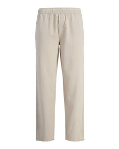 JACK & JONES Muške pantalone karl