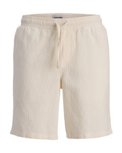 JACK & JONES Muški šorts aiden
