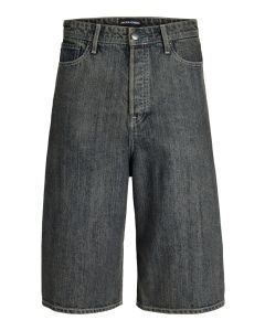 JACK & JONES Muški šorts illy
