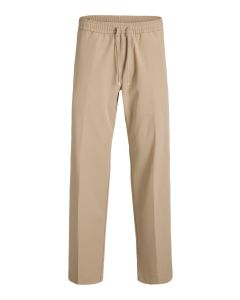 JACK & JONES Muške pantalone  kane