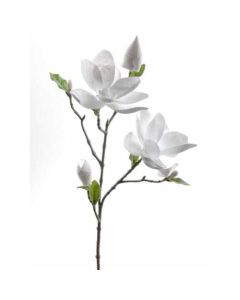 Novogodišnja dekoracija, grana sa Magnolijama - 12600000