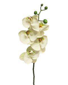 DEKOR DOM Cvet 58cm Orchid, bela - 040050