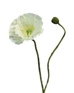 DEKOR DOM Cvet 60cm Rhoeas, krem - 040052