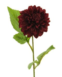 DEKOR DOM Cvet 50cm Dahlia, bordo - 040055