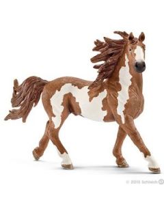 Schleich Pinto pastuv - 13794
