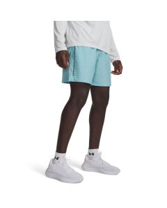 UNDER ARMOUR Šorc tech woven wordmark short M