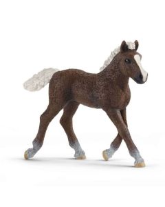 SCHLEICH Ždrebe, Black forest - 13899