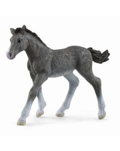 Schleich Trakehner zdrebe - 13944