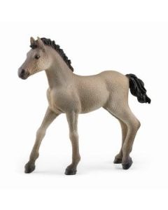 Schleich Criollo Definitivo zdrebe - 13949-1