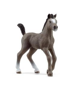 Schleich Zdrebe Selle Francais - 13957