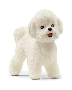 Schleich Bishon Frize - 13963