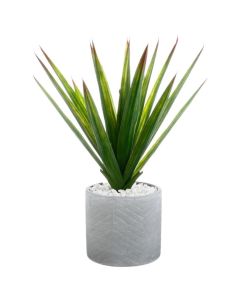 ATMOSPHERA Aloe vera u saksiji 44x47cm siva - 145025