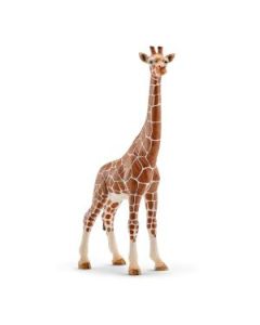 Schleich Zirafa zenka - 14750
