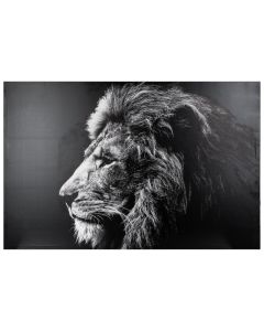 ATMOSPHERA Slika na platnu Lion 78x118 - 158210